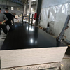 1220X2440mm*9/12/18 Black/ Brown Poplar/Eucalyptus Core Film Faced Plywood